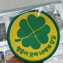 레오메디 이미지