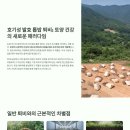 대풍농장 | 살구나무 재배, 달콤한 황금 살구 대풍의 비밀! 토경마스터솔루션