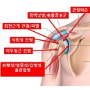 문화연세의원 이미지
