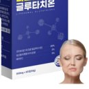 웰빙홀릭
