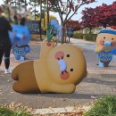세이브온 | 2025 카카오런 세이브레이스 뛰고온 후기