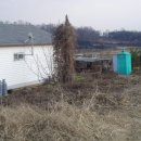 지영이네농장 이미지