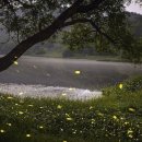 즐거운반딧불이 이미지