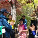 부여(임천)-15 이미지