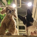 안녕아가 이미지