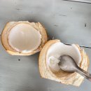 마하목장 | 베트남 나트랑 4박 6일 여행 - 5일차 (알마리조트 조식 라까사, 수영장, 판랑 사막투어, 망고스틴 배달...