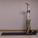 지구마블 이미지