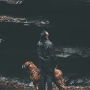 젤리펫살롱 이미지