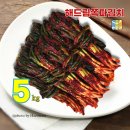 해드림김치 의 정성과 맛을 담은 5kg 쪽파김치 리뷰/소개글