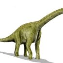 브라키오사우루스 이미지
