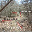 조봉 이미지