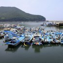 산호초횟집 이미지