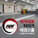 국가대표태권스쿨 이미지