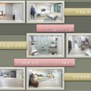 로얄팰리스 이미지