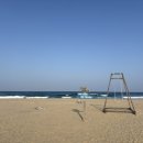 욜로하 스테이 이미지