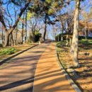 남산공원 이미지