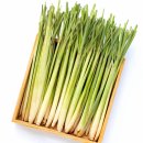 레몬그라스 이미지