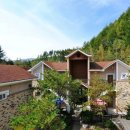 샤인밸리 이미지