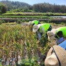 목원동주민센터 이미지