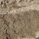 이연농장 이미지