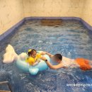 가평 메이드 독채 온수 수영장 펜션 | 가평풀빌라 남이섬숙소 풀스테이 스테이온가평 바베큐 수영장 독채 펜션 아이랑 후기