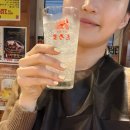 다루마 | 삿포로 스스키노 징기스칸 양고기 맛집 | 다루마 4.4 방문 후기 (메뉴, 위치, 웨이팅)