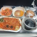 마드리드A | [인천/마드리드] 대한항공 마드리드 직항 KE913 A350-900 이코노미 좌석 및 기내식 후기