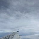 세븐일레븐 부산청룡경동점 | [일본/오사카]1년에 2번방문한 도톤보리 맛집 3박 4일 여행 1.2일차(사카에스시/토미타규카츠...