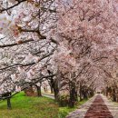 낙동강체육공원 자전거대여소 화장실 이미지