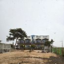 포도송이펜션 | 제부도 숙소 애플펜션 개별바비큐 가능한 객실 넓고 깔끔한 펜션 (재방문 후기)
