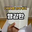 플러스마이너스 한의원 다이어트 한약 고농축 행감환 으로 감량 후기