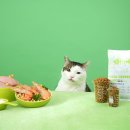 본아페티 이미지