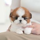 연제구-045 이미지