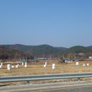 하빈면보건지소 네이버블로그