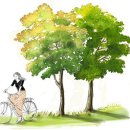 상림약수터 이미지