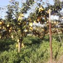 성환농업협동조합 이미지