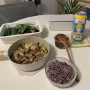 설항공주 | 일상 - 혼술 주린이 염블리 책 유미의세포맥주 안주야 카레여왕 대한곱창