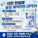 아이스쿨 안경원