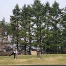 디세븐 | 경기도 여주이포cc 라운딩 후기 디세븐골프회원권거래소 서현팀장 골프회원권 상담 후 방문 회원제...