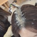 영통염색 미봉헤어 영통점에서 뿌리염색 한 후기