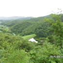 수레의산자연휴양림 이미지