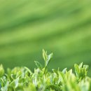 그린에코바이오 이미지