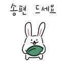 소망애견 이미지
