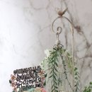 롤리앤폴리 이미지