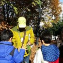 화봉초교 이미지