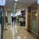 오렌즈 강남역신분당선점 | [국내] 강남역감자탕 역대급 진한 국물! 신분당선 4번출구 '지안식당' 곱창 감자탕 찐추천