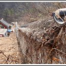 동해조선 이미지