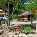 홍스캐빈 이미지