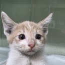 북대구농협 산격지점 이미지