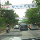 비따